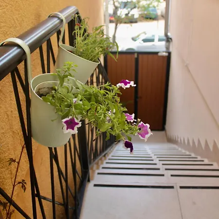 Acoustic Apartamento Mostar